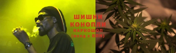 spice Аркадак