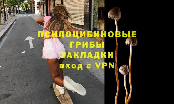 гидропоника Арсеньев